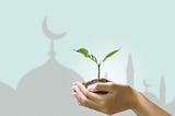 Sustainability trends in Islamic venture capital