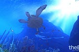 360-degree VR storytelling brings you face-to-fin underwater