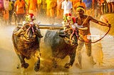 Indian Man Races Buffaloes At Record Speed