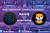 Navis has partnered with Baby Doge for high nanotechnology infrastructure