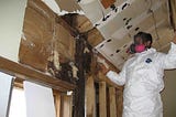 10 Things You Should Consider Before Hiring A Mold Removal Company