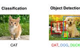 ML5 Image classification using MobileNet and p5.js