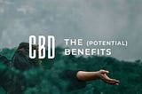 CBD. The Greatest Medical Discovery Left Hidden In Plain Sight For So Long