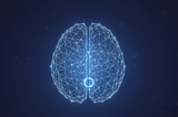 EmbeddingGemma: The Brain Behind Local AI Search