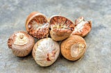 Setting Up an Areca Nut Processing Plant Project Report | Costs Analysis and Raw Materials