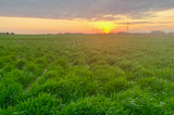 Judging a field by its cover