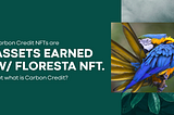 FlorestaNFT works with Carbon Credits: what are they?