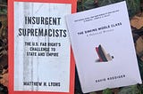 Literary Pairing. Read Insurgent Supremacists with The Sinking Middle Class