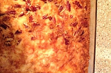 Pumpkin Pie Dump Cake — Desserts