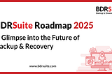 BDRSuite Roadmap 2025: A Glimpse into the Future of Backup & Recovery