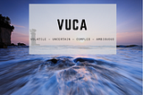 Seeking Alpha in a VUCA World