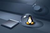 The Linux Operating System (Part 1)