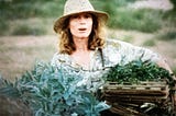 The plant press that went up the Amazon!