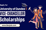 Vice Chancellor Studentship 2024 at the University of Dundee