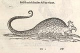 Woodcut of a strange looking critter with a long tail, raised and curled at the tip; a pudgy scaly body with eight legs; and a head with a curved beak and wattles, and bearing a crown wedged on a pointy head.