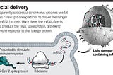COVID-19 mRNA Vaccines