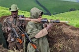 Kinshasa government militiamen