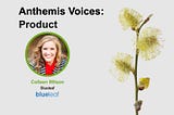 Anthemis Voices: Product