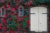A white door of a cottage, surrounded by colorful flowers and leaves.