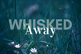 Whisked Away