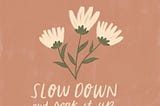 The Art of Slowing Down:
