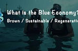 What is a (Brown, Sustainable or Regenerative) Blue Economy?