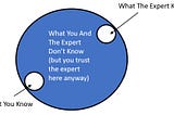 The “Expert Fallacy”