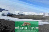 An Exciting Safari Tanzania Kilimanjaro Experience Is Waiting