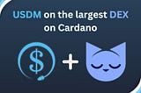 USDM Empowering Cardano Community DeFi with the largest DEX on Cardano
+ Minswap Community DAO Vote!