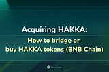Acquiring HAKKA: How to Bridge or Buy HAKKA Tokens (BNB Chain)