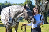 2021 BreyerFest Celebration Horse, Dani the Wonder Horse, Stays Picture Perfect with Zarasyl…