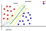 Detailed description about the parameters of Support Vector Machines