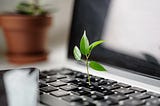 Ways to Reduce Carbon Footprint in the Office