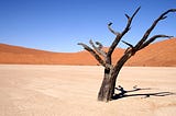 Desertification and Machine Learning