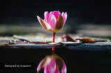Healing from the Inside Out Series #42: Why a Pure Heart is Necessary for True Self-Expression