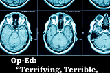 Terrifying, Terrible, or Terrific?: The Future of Neurotechnology