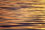 Money Isn’t Material — It’s Pure Energy: How to Align Yourself With Infinite Abundance
