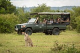 Tanzania Group Sharing Safari