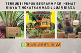 TERBUKTI, WA: 0878–8005–8622 Terpercaya Di Aceh Barat Daya Pupuk Untuk Durian Aceh Barat Daya Tanam