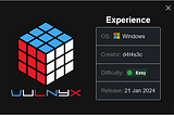 VulNyx | Experience (Walkthrough)