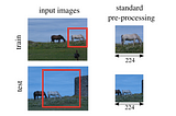 The different image preprocessing steps taken at train and test results in the horse appearing smaller at test time.