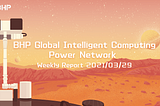 BHP Global Intelligent Computing Network Project Weekly Report (2021/3/29)