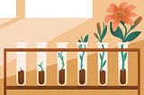 A rack of six test tubes contains plants at different growth stages, developing from a seedling on the left into a flower on the right.