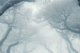 A Winter Apocolypse