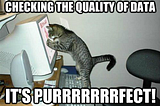 Guardians of the Data Galaxy: The Data Quality Layer