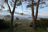 Abschied ins Schweigeretreat