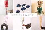 Why Dried Flowers Are the Perfect Sustainable Decor