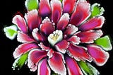 Magic Napkin Lift Reveals Gorgeous 3D Dahlia Bloom ✨🌸 Reverse Flower Dip Acrylic Pouring