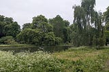 A park scene with trees in the background, water in the middle ground and low-growing vegetation with a few waterfowl in the foreground