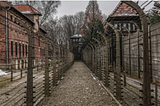 Auschwitz Memorial excoriates Elon Musk’s X for failing to act on Holocaust denial